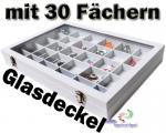 Schmuckkasten Schmucklade Schaukasten Schmuckdisplay Glasdeckel mit 30 Fächern weiss